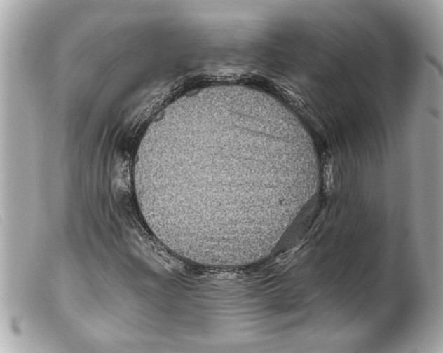 X0000099291204200805301104