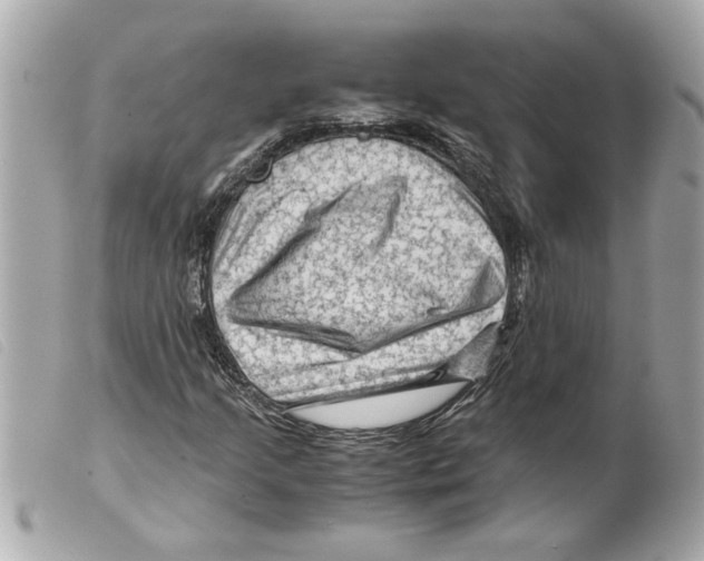 X0000099291205200805301104