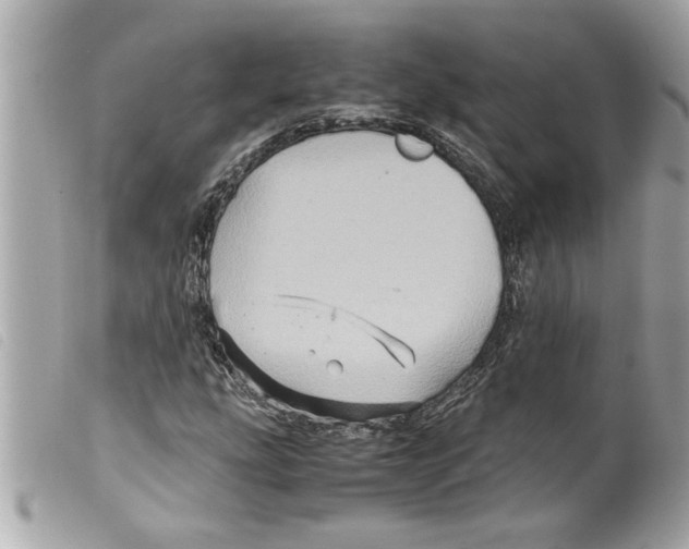 X0000099291207200805301104