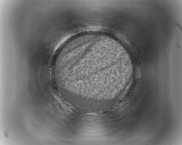 X0000099291208200805301104