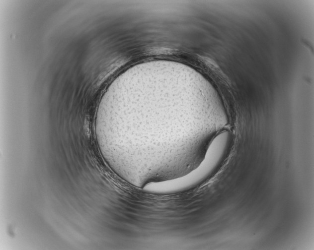 X0000099291209200805301104