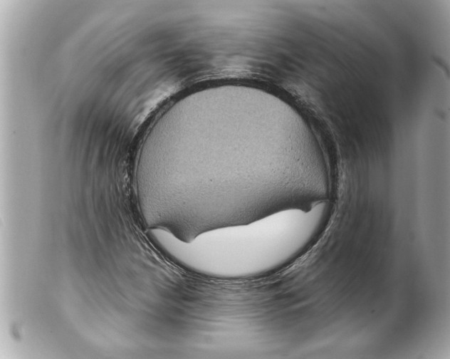 X0000099291210200805301104