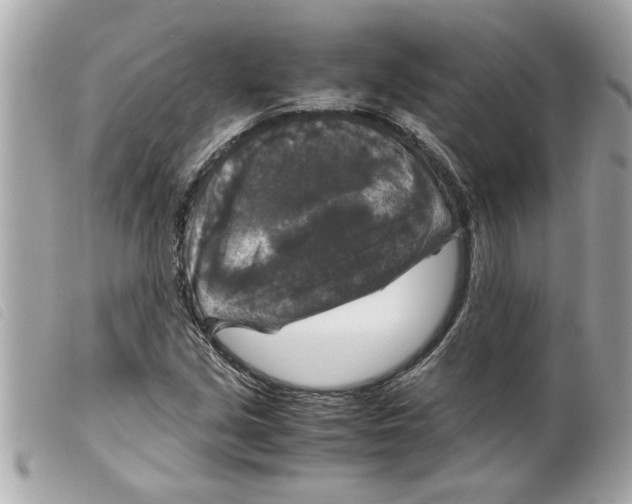 X0000099291213200805301104