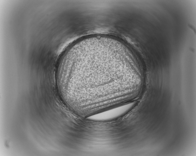 X0000099291214200805301104