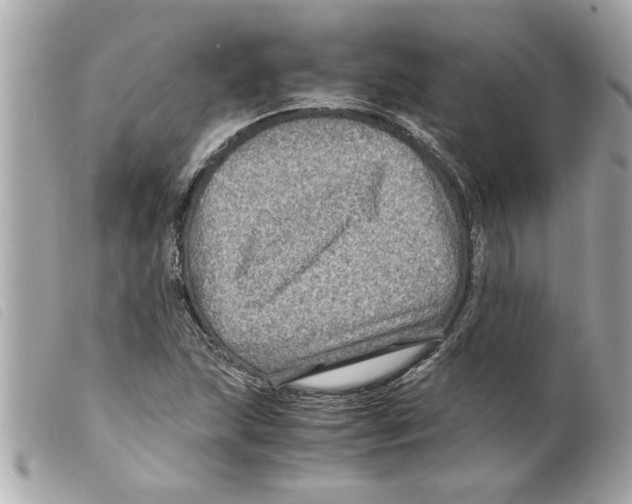 X0000099291215200805301104