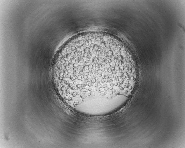 X0000099291216200805301104