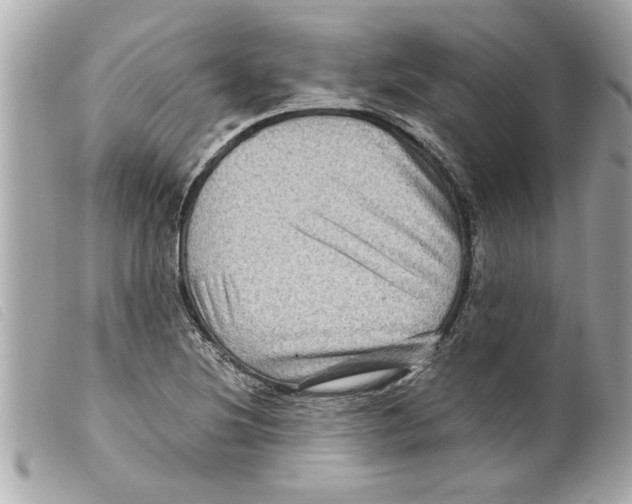 X0000099291220200805301104