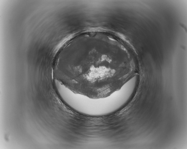 X0000099291221200805301104