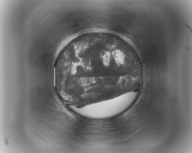 X0000099291223200805301104