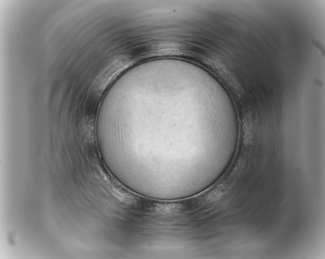 X0000099291225200805301104