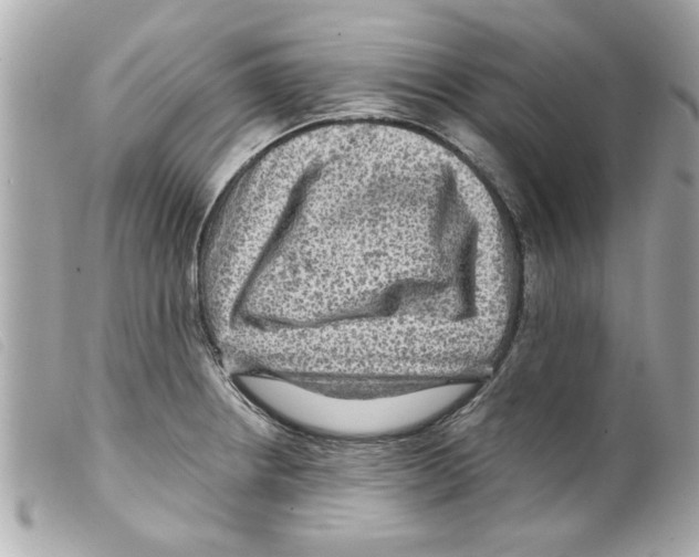 X0000099291234200805301104