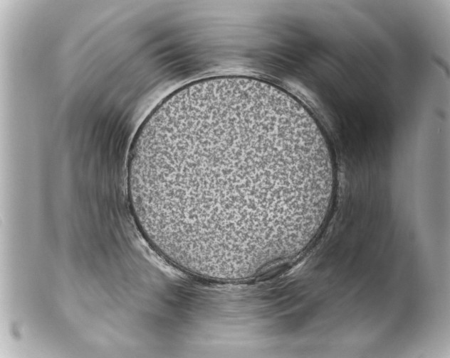 X0000099291236200805301104