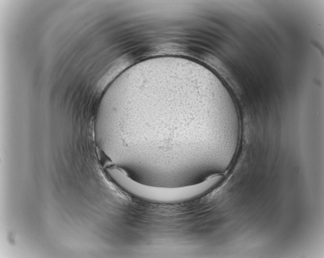 X0000099291241200805301105