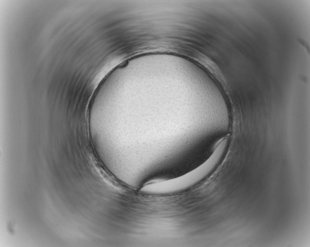 X0000099291242200805301105