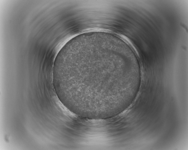 X0000099291244200805301105