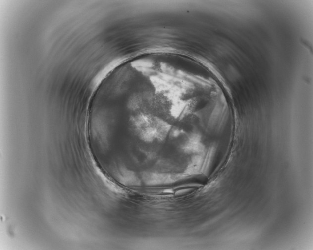 X0000099291245200805301105
