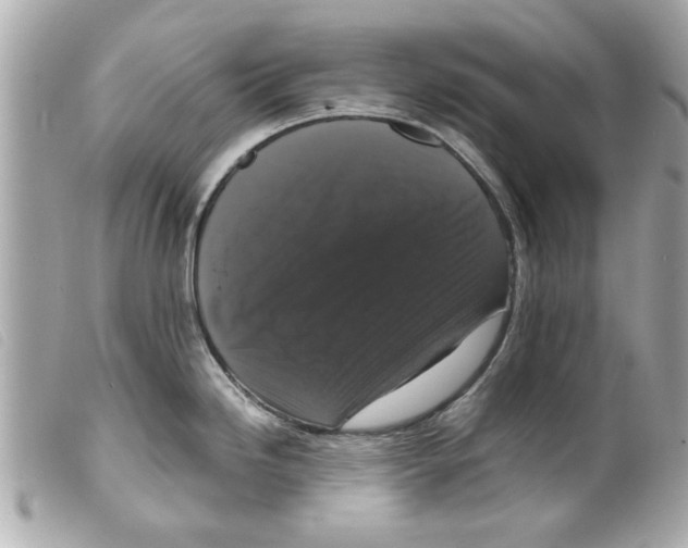 X0000099291246200805301105