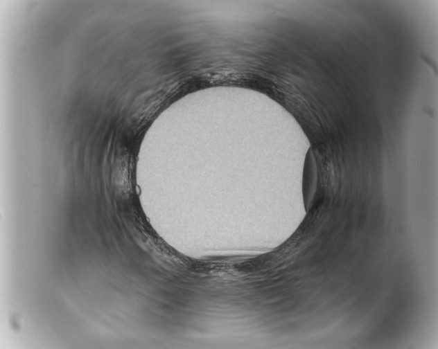 X0000099291250200805301104