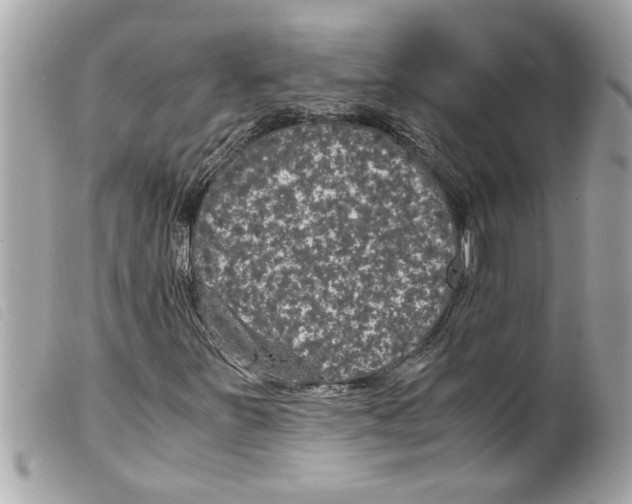 X0000099291251200805301104
