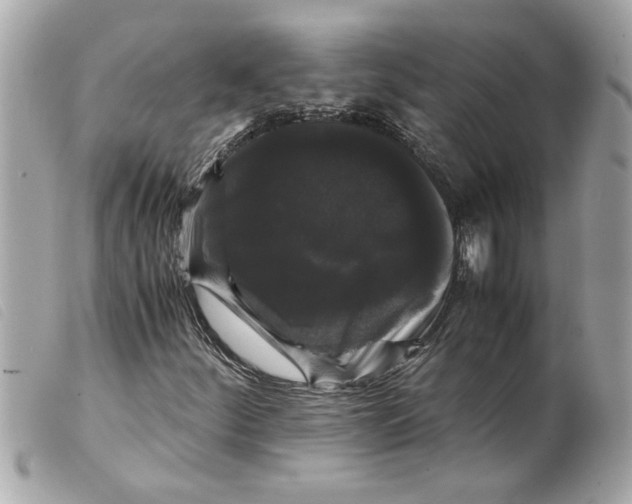 X0000099291252200805301104