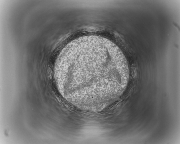 X0000099291253200805301104