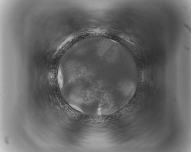 X0000099291254200805301104