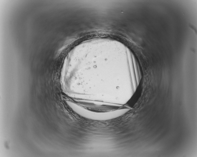 X0000099291255200805301104