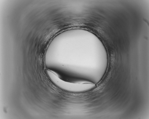 X0000099291257200805301104