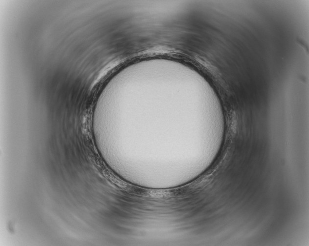 X0000099291258200805301104