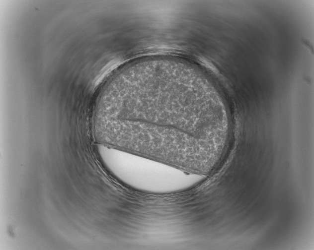 X0000099291259200805301104