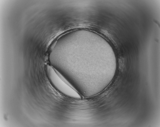 X0000099291260200805301104