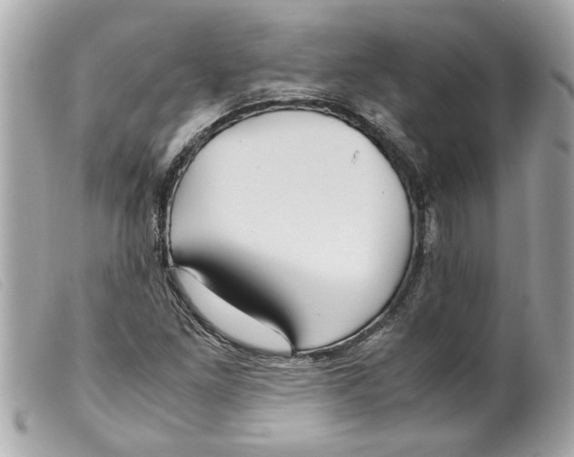 X0000099291261200805301104