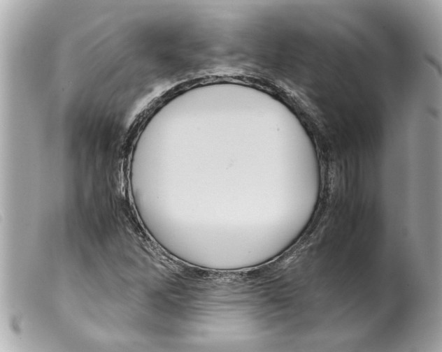 X0000099291262200805301104
