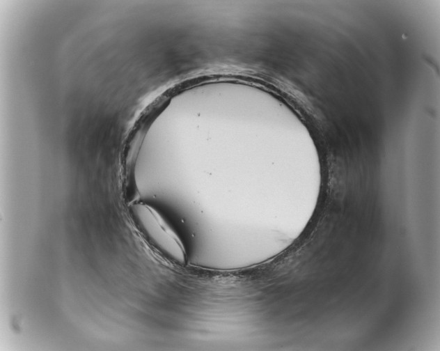 X0000099291264200805301104