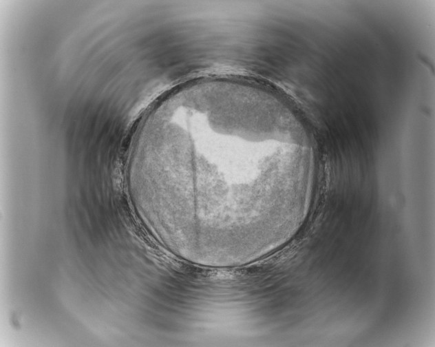 X0000099291266200805301104