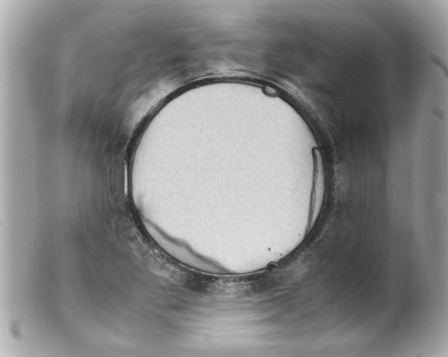 X0000099291269200805301104