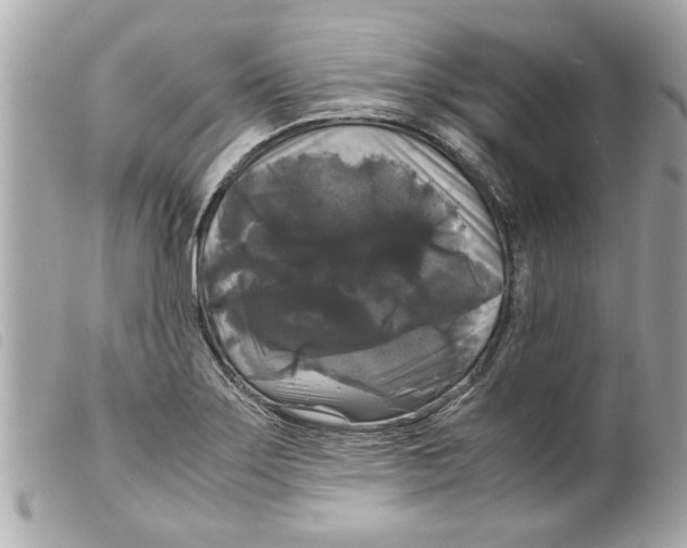 X0000099291275200805301104