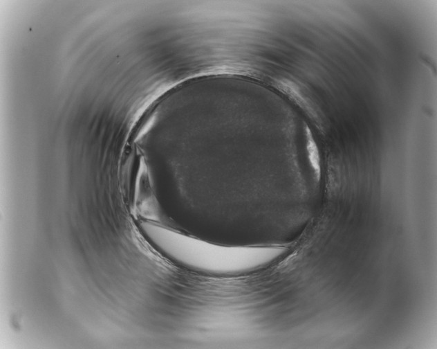 X0000099291276200805301104