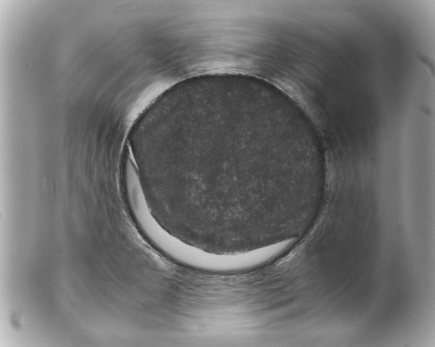 X0000099291277200805301104