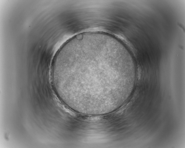 X0000099291278200805301104