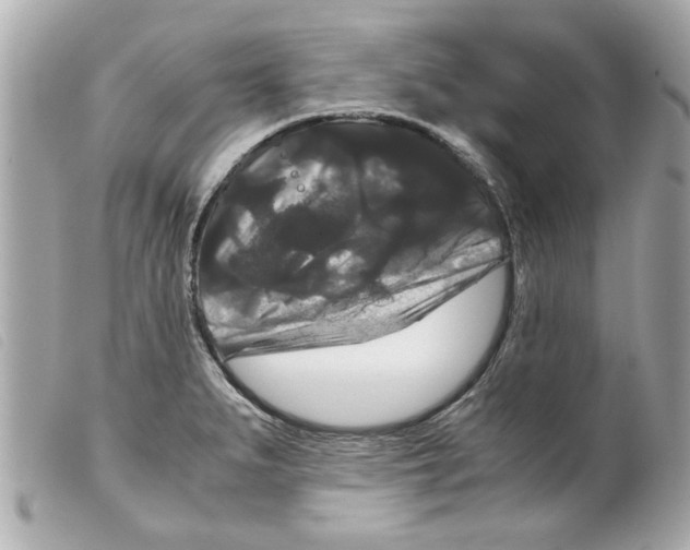 X0000099291279200805301104