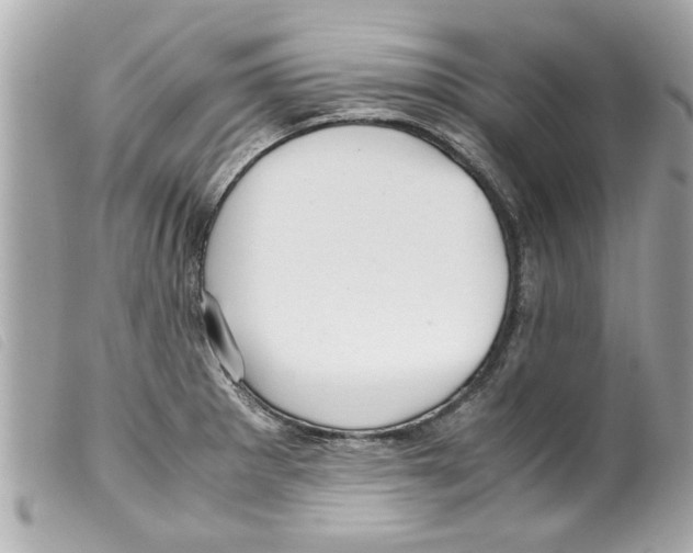 X0000099291281200805301104