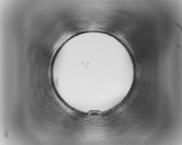 X0000099291285200805301104
