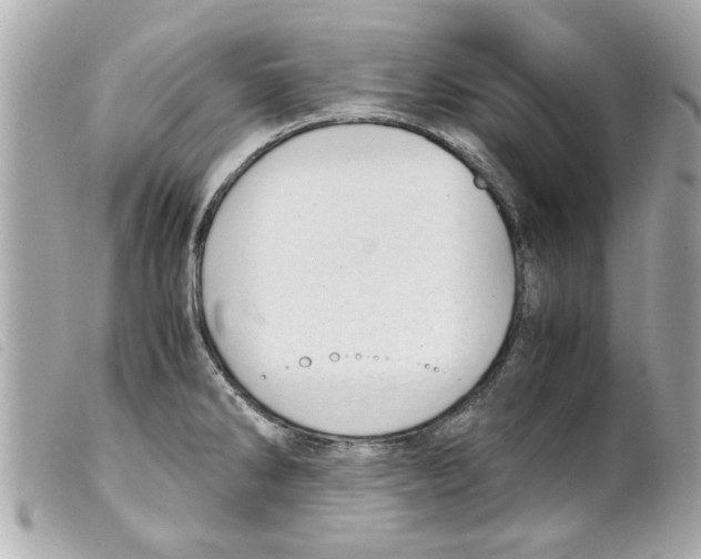 X0000099291286200805301104