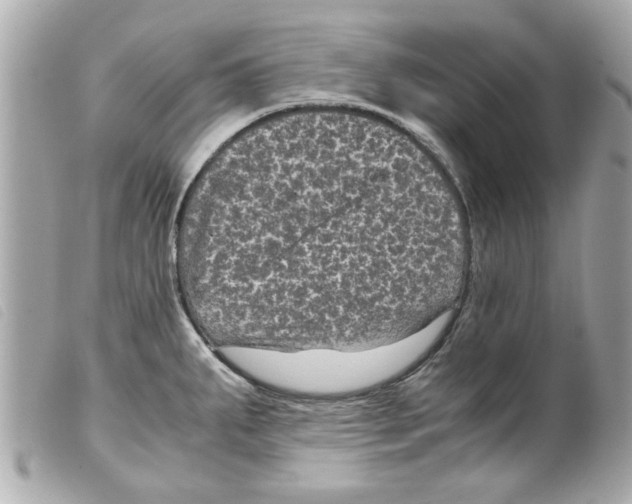 X0000099291287200805301104