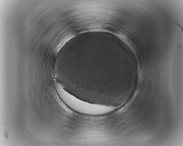 X0000099291289200805301103