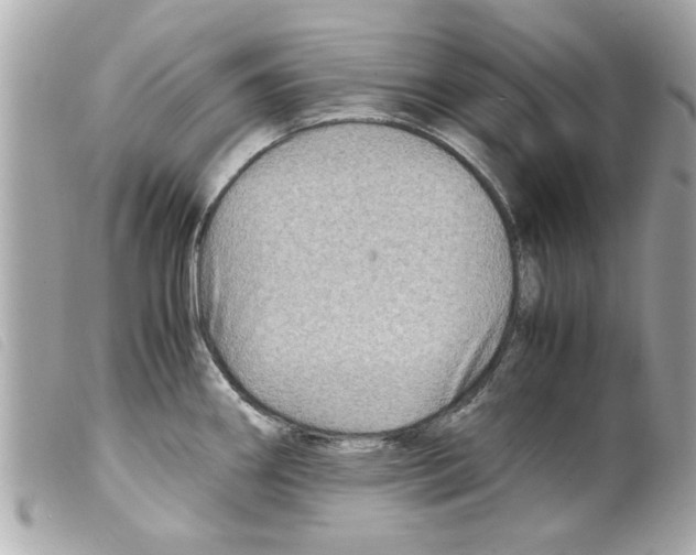 X0000099291290200805301103