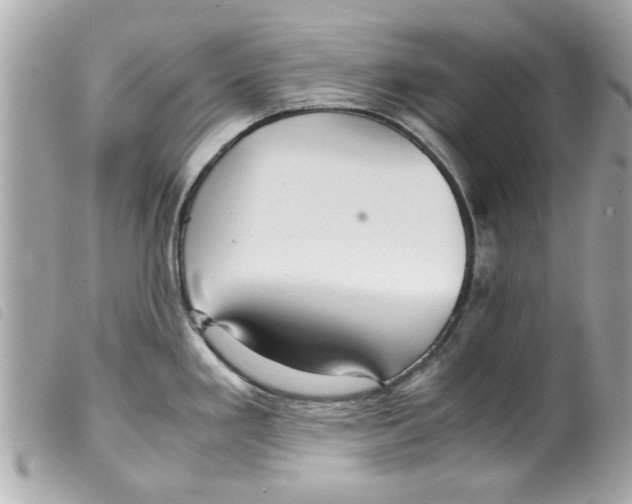 X0000099291293200805301103