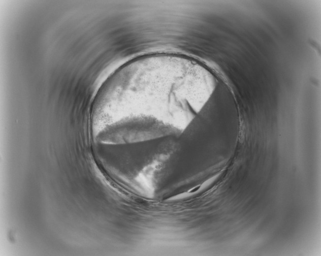 X0000099291295200805301103