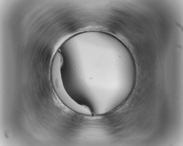 X0000099291296200805301103